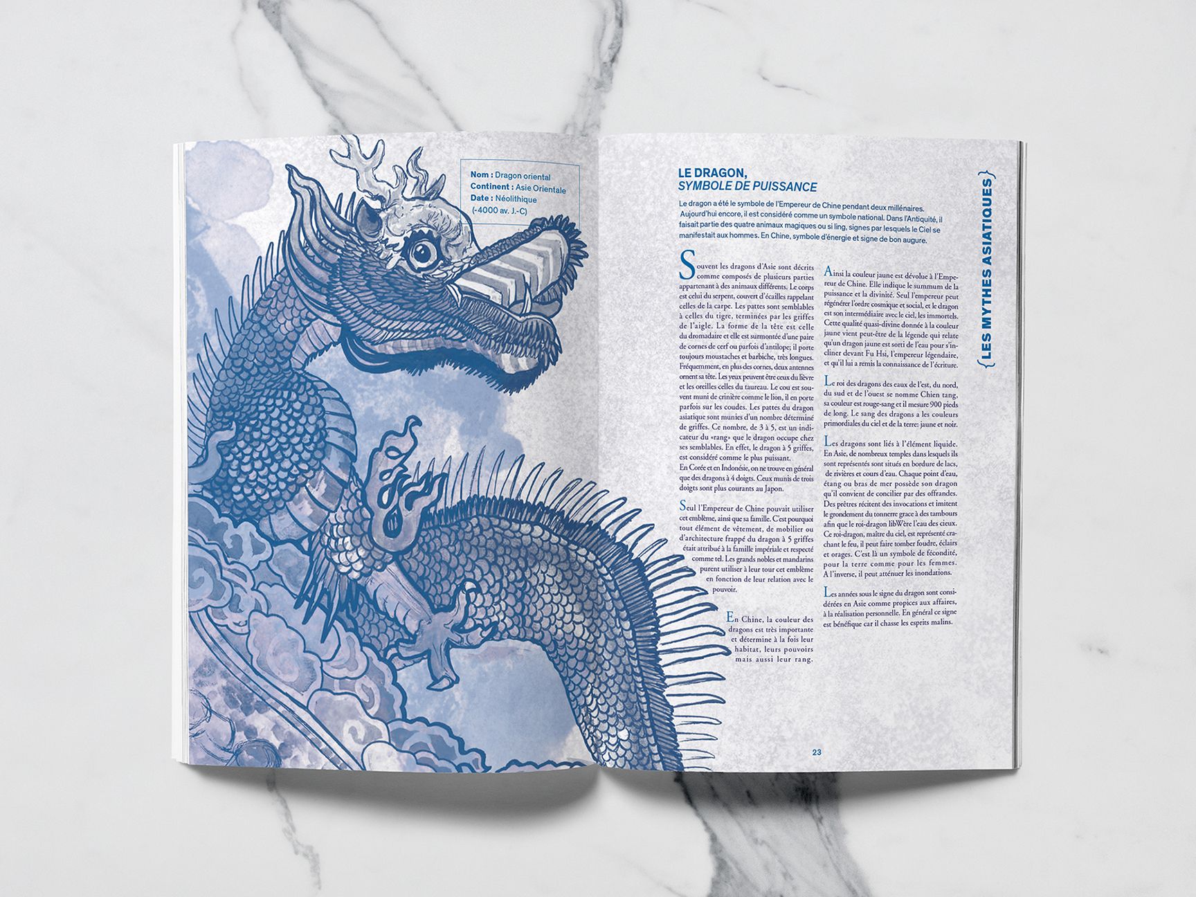 Dragon asiatique du recueil Mytho(zoo)logie
